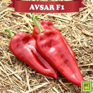 Avşar F1 Kapya Biber Fidesi