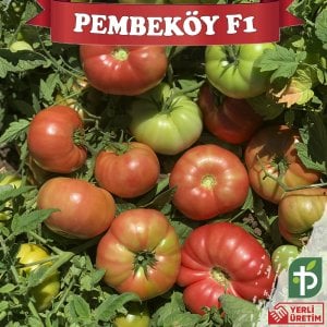 Pembeköy F1 - Pembe Köy Domates Tohumu 1000 Adet