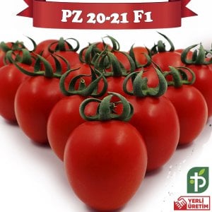 PZ-2021 F1 - Kokteyl Domates Tohumu