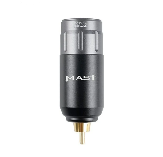 Mast P113 Power Supply