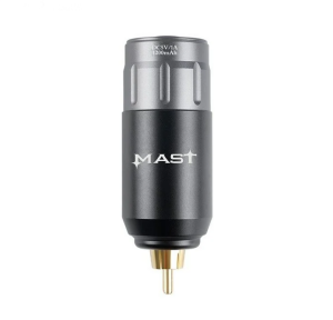 Mast P113 Power Supply