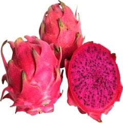 Pitaya Ejder Meyvesi Fidanı 80-100 cm, Tüplü