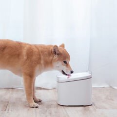 Xiaomi Smart Evcil Hayvan Su Çeşmesi