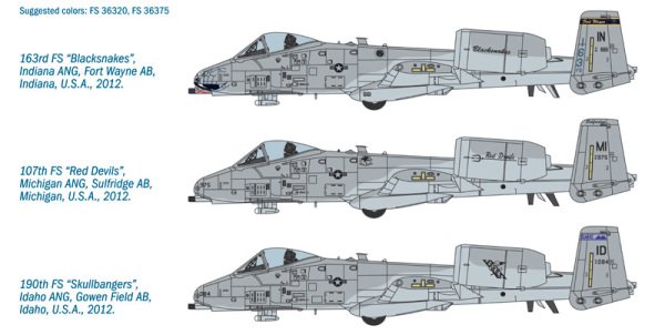 1/48  A - 10C ''Blacksnackes''