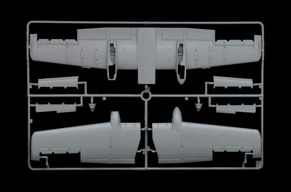1/48  A - 10C ''Blacksnackes''