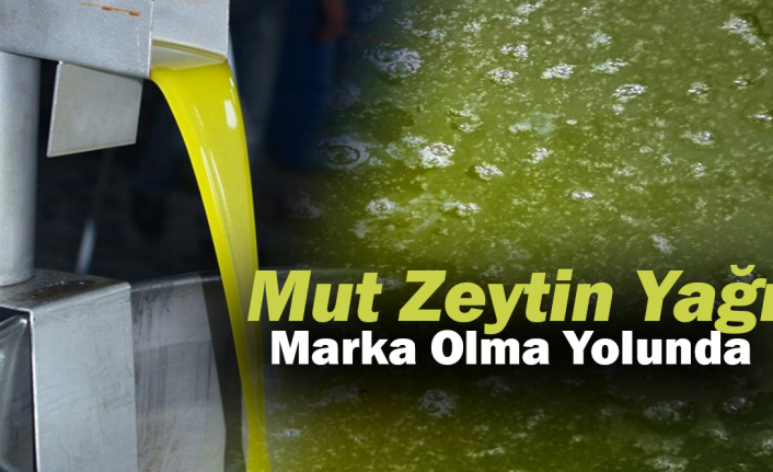 Mut zeytinyağı, Fransa ve Japonya'ya gönderilmeye başlandı..