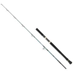 Daiwa Grandwave 168cm 60-120gr Slow Jig Kamışı