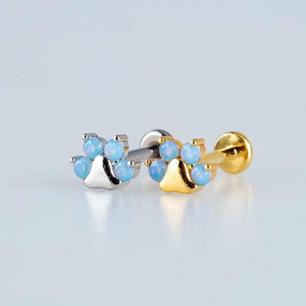 Piercing Tragus Pati