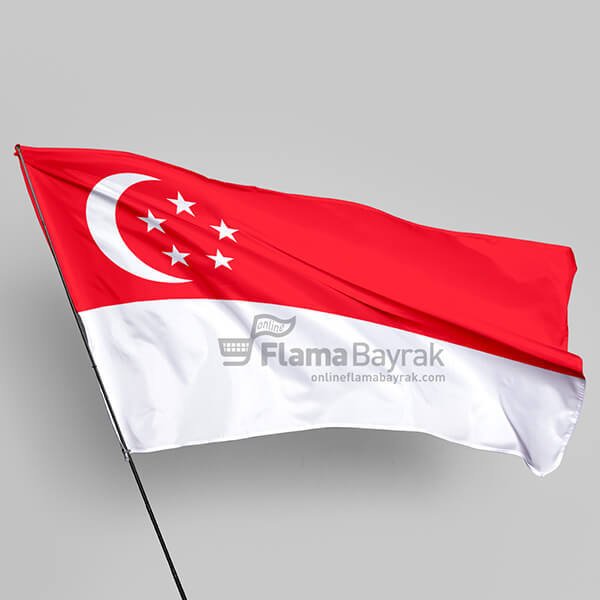Singapur Devlet Bayrağı