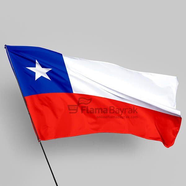 Şili Devlet Bayrağı