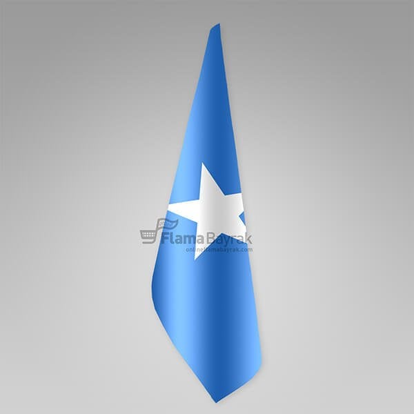 Somali Devleti