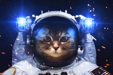 Astronot Kedi Duvar Halısı 70x100CM