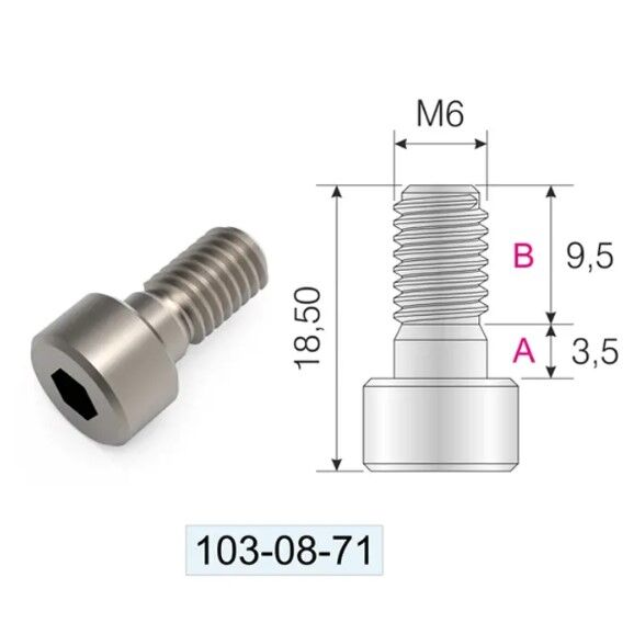 Qfix Vidası  M6X9mm Metrik Dişli Alyan Başlı Nikel