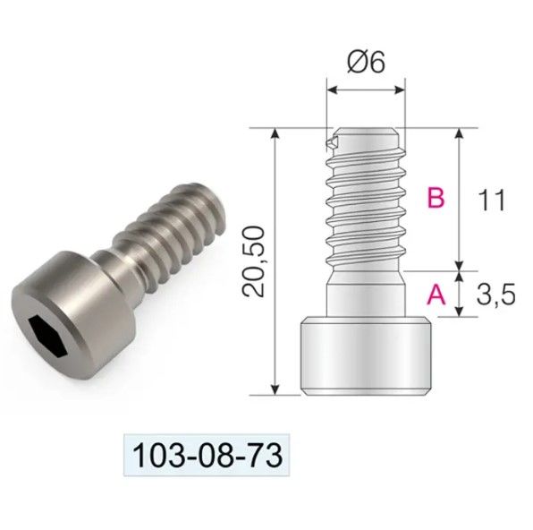 Qfix Vidası  Q6X11mm Sunta Dişli Alyan Başlı