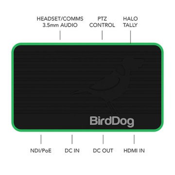 BirdDog Flex 4K In Converter