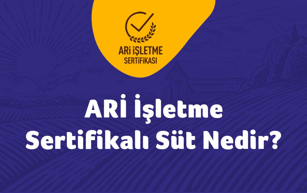 Ari İşletme Sertifikalı Süt Nedir?