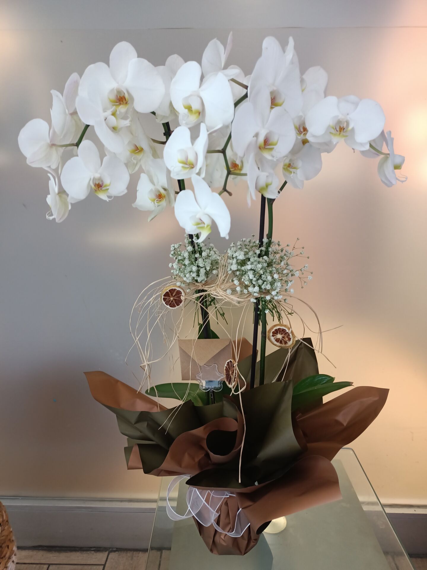 Beyaz Çift Dal Orkide-44