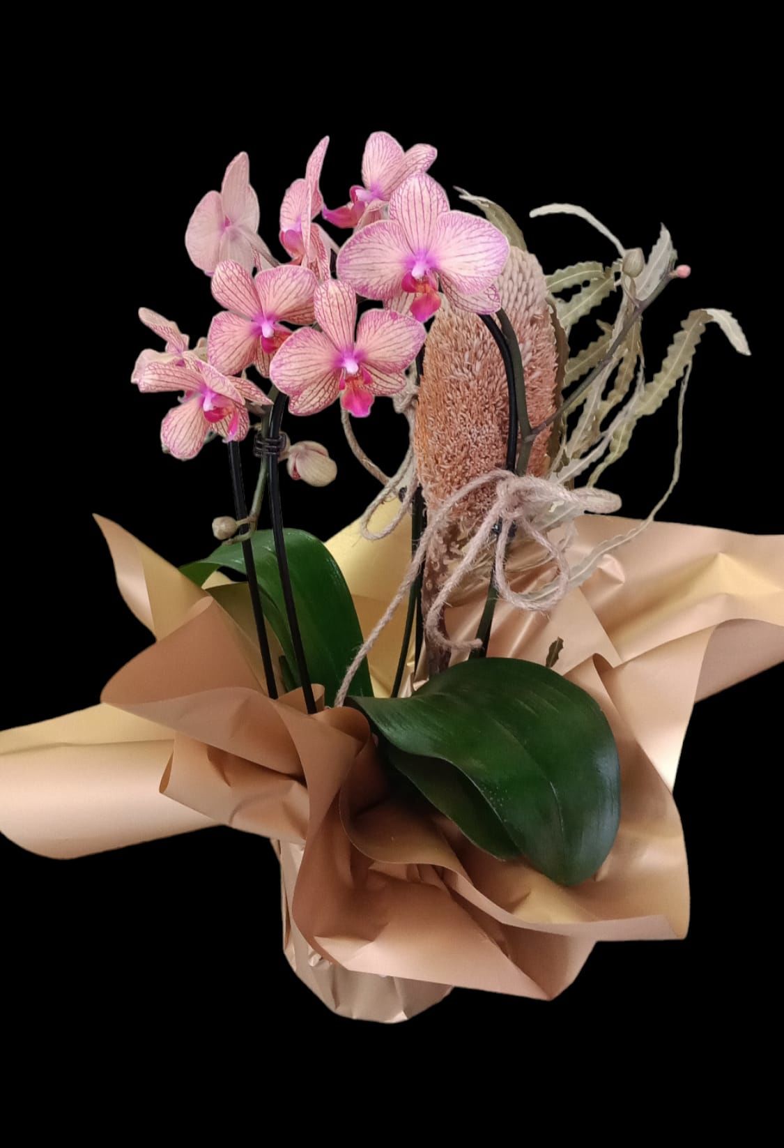 Pembe orkide-53