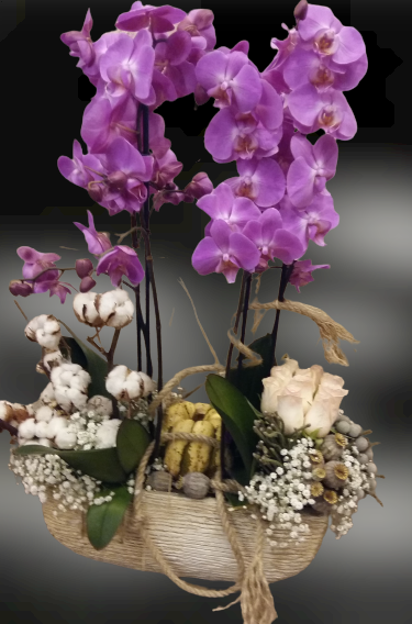 4 dal lila orkide-66