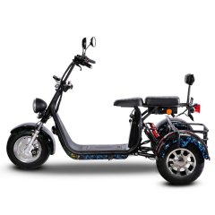 Citycoco Trike CP-3