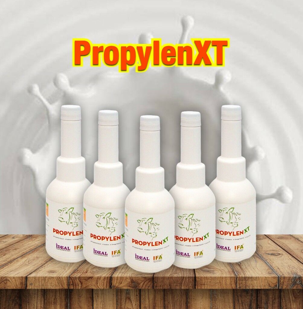 Propylen Xt Liquid 500 Gr