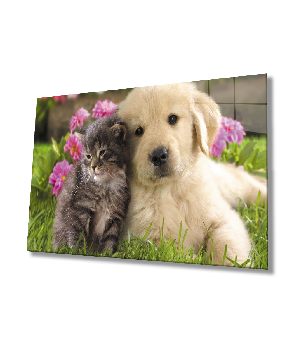 Kedi ve Köpek Cam Tablo  4mm Dayanıklı Temperli Cam