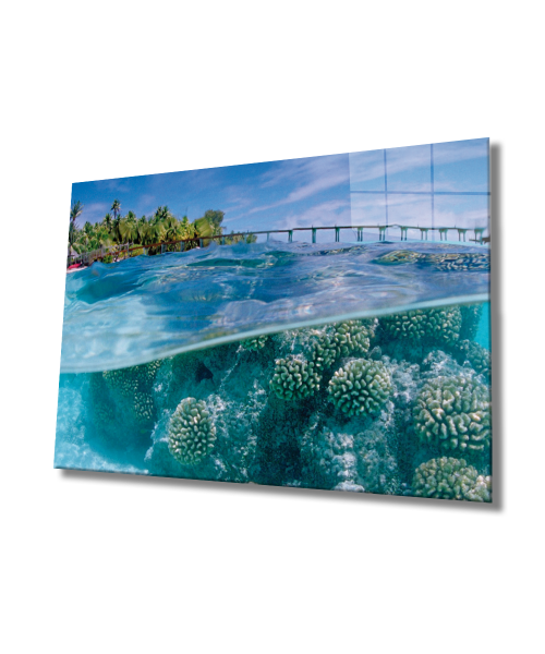 Cam Tablo Sualtı 4mm Dayanıklı Temperli Cam, Marine Life Glass Wall Art