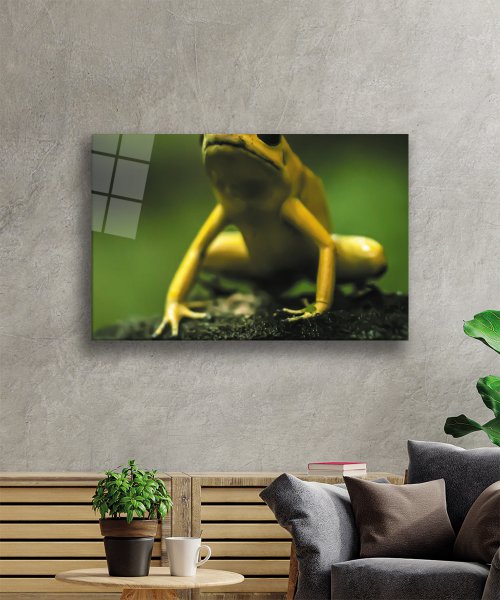 Yeşil Sarı Kurbağa Cam Tablo  4mm Dayanıklı Temperli Cam Yellow Green Frog Glass Wall Art