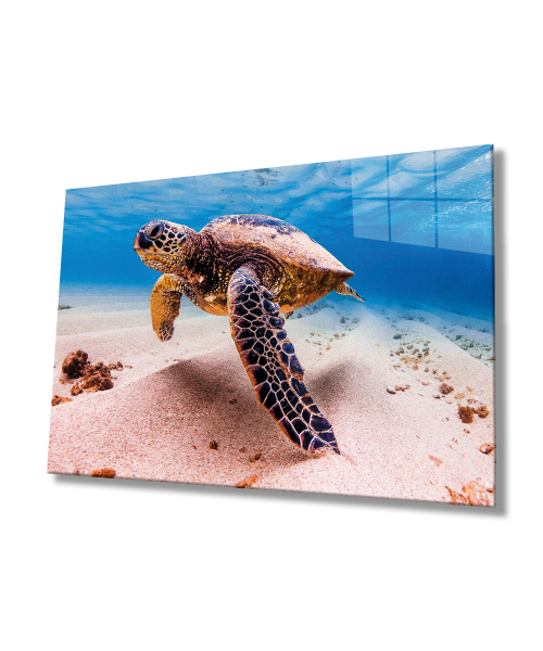 Deniz Kaplumbağası Cam Tablo  4mm Dayanıklı Temperli Cam, Sea Turtle Glass Wall Art