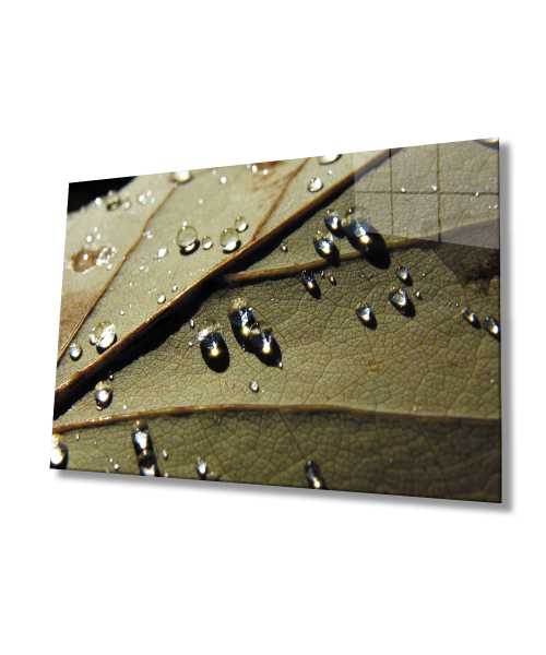 Su Damlaları Yaprak Cam Tablo  4mm Dayanıklı Temperli Cam  Water Drops Leaf Glass Wall Art