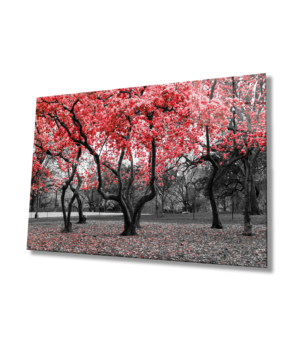 Kırmızı Ağaçlar Tablo 4mm Dayanıklı Temperli Cam  Brown Trees Starry Sky Glass Painting