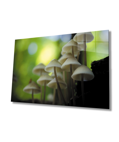 Mantar Bitki Yeşil Cam Tablo  4mm Dayanıklı Temperli Cam Mushroom Plant Green Glass Wall Art