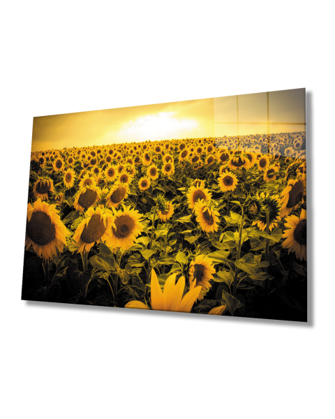 Gün Batımı Manzarası Ayçiçeği Tarlası Sarı Cam Tablo  4mm Dayanıklı Temperli Cam Sunset Landscape Sunflower Field Yellow Glass Table 4mm Durable Tempered Glass