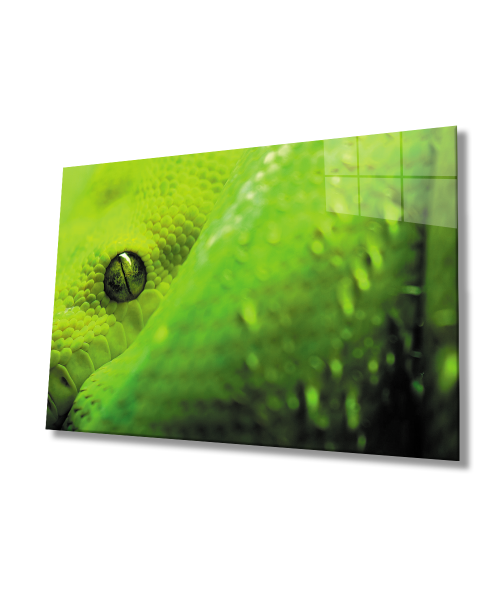 Yeşil Yılan Cam Tablo  4mm Dayanıklı Temperli Cam Green Snake Glass Wall Art