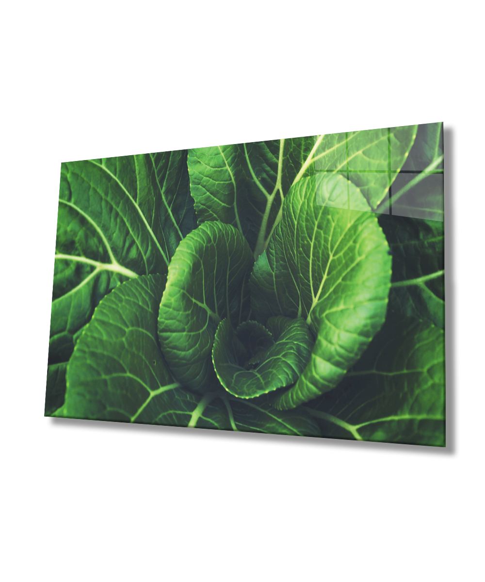 Yeşil Bitki Yaprak Cam Tablo  4mm Dayanıklı Temperli Cam  Green Plant Leaf Glass Wall Art