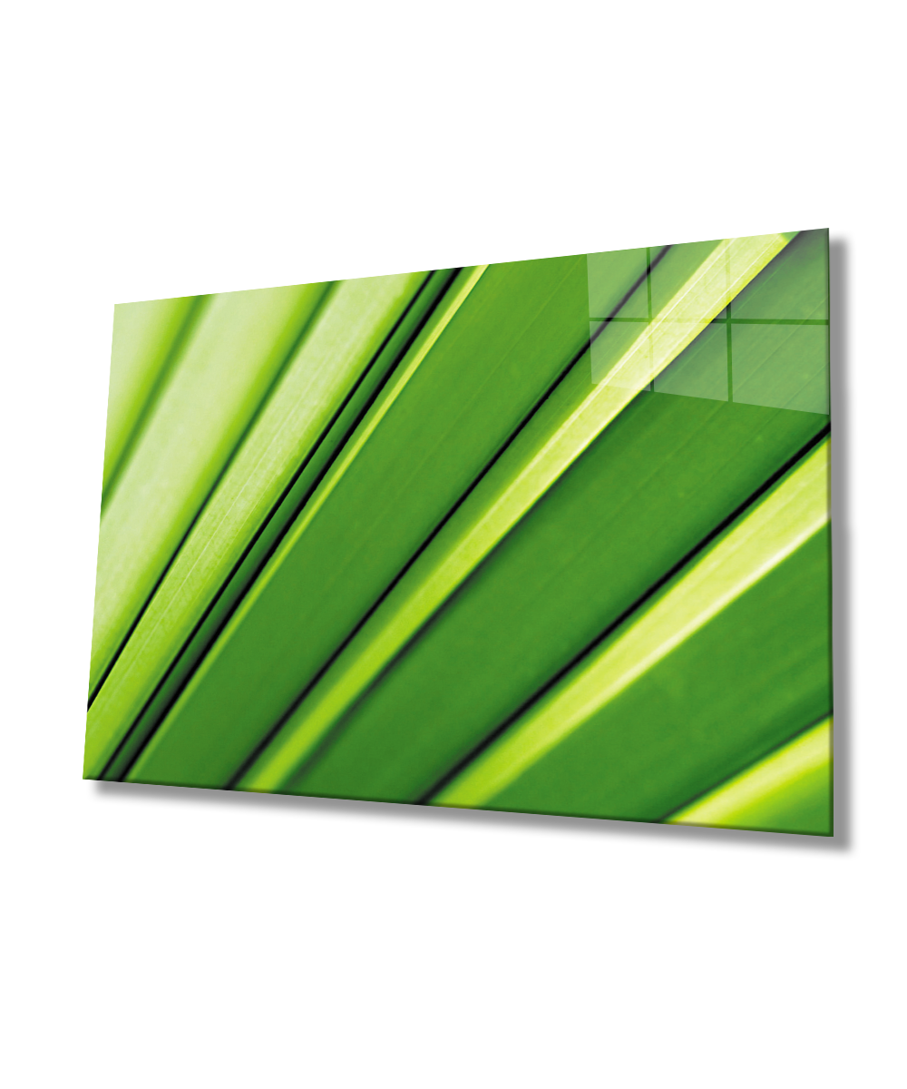 Yeşil Yaprak  Cam Tablo  4mm Dayanıklı Temperli Cam Green leaf  Glass Wall Art