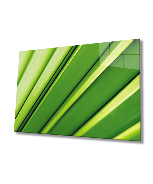 Yeşil Yaprak  Cam Tablo  4mm Dayanıklı Temperli Cam Green leaf  Glass Wall Art