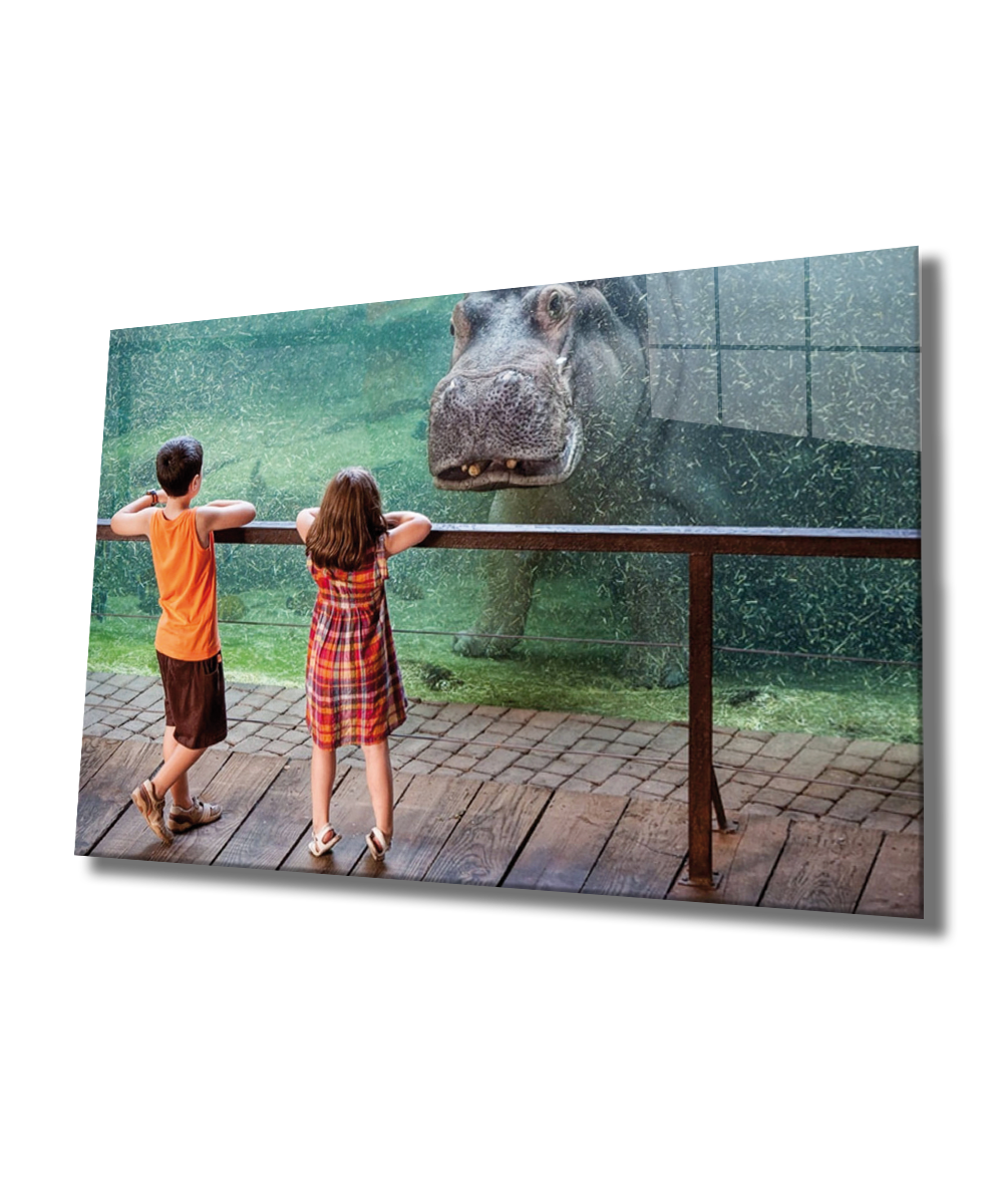 Hayvanat Bahçesi Cam Tablo  4mm Dayanıklı Temperli Cam, Zoo Glass Wall Art
