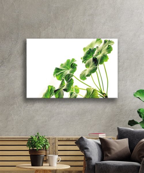 Yeşil Yapraklar Bitki Cam Tablo  4mm Dayanıklı Temperli Cam Green Leaves Plant Glass Wall Art
