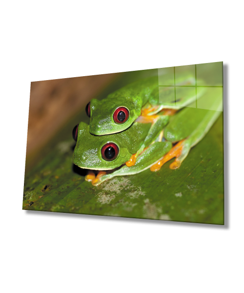 Yeşil Kurbağalar Cam Tablo  4mm Dayanıklı Temperli Cam