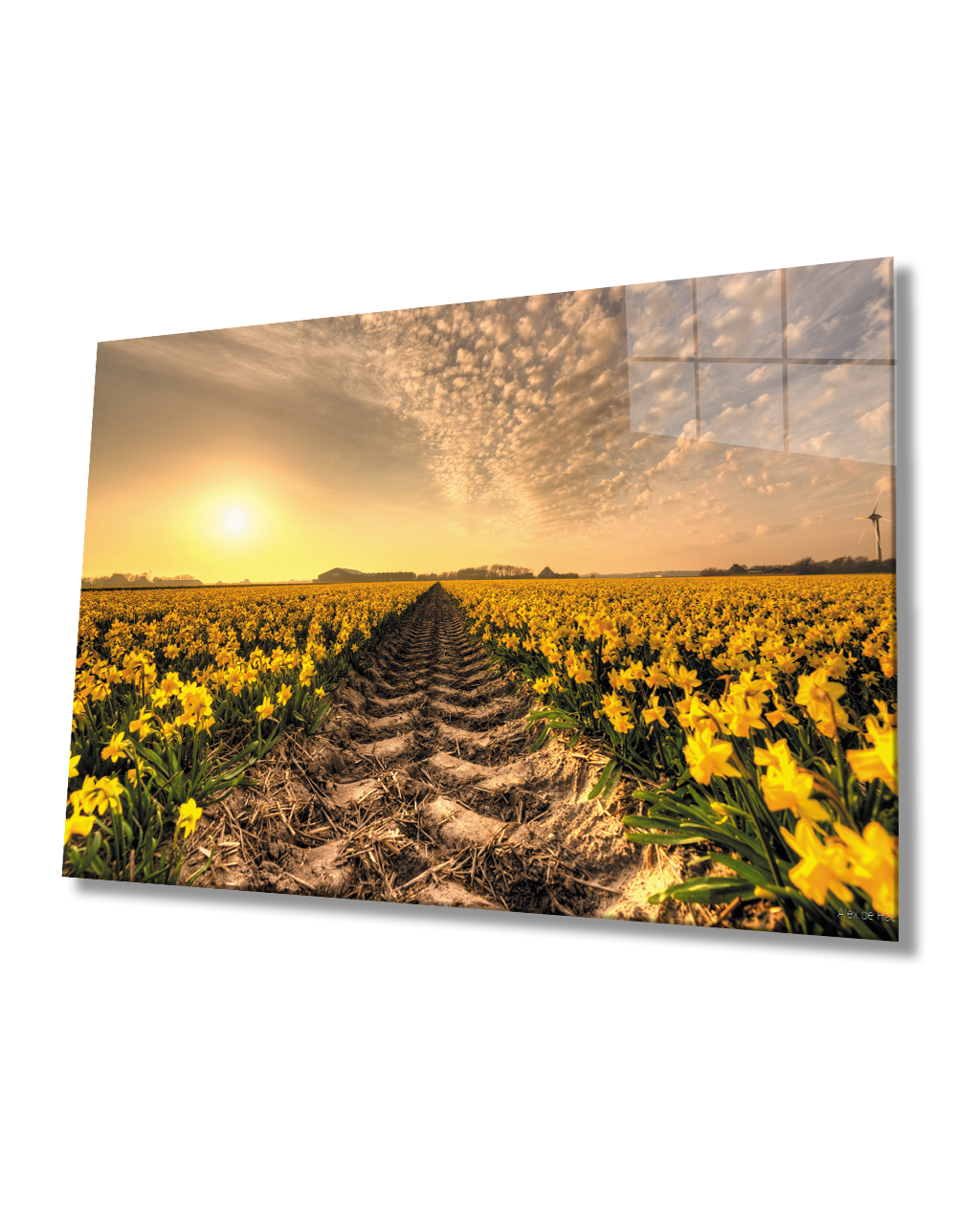 Gün Batımı Toprak Sarı Çiçekler Cam Tablo  4mm Dayanıklı Temperli Cam Sunset Earth Yellow Flowers Glass Table 4mm Durable Tempered Glass