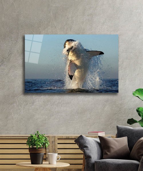 Köpek Balığı Cam Tablo  4mm Dayanıklı Temperli Cam, Shark Glass Wall Art