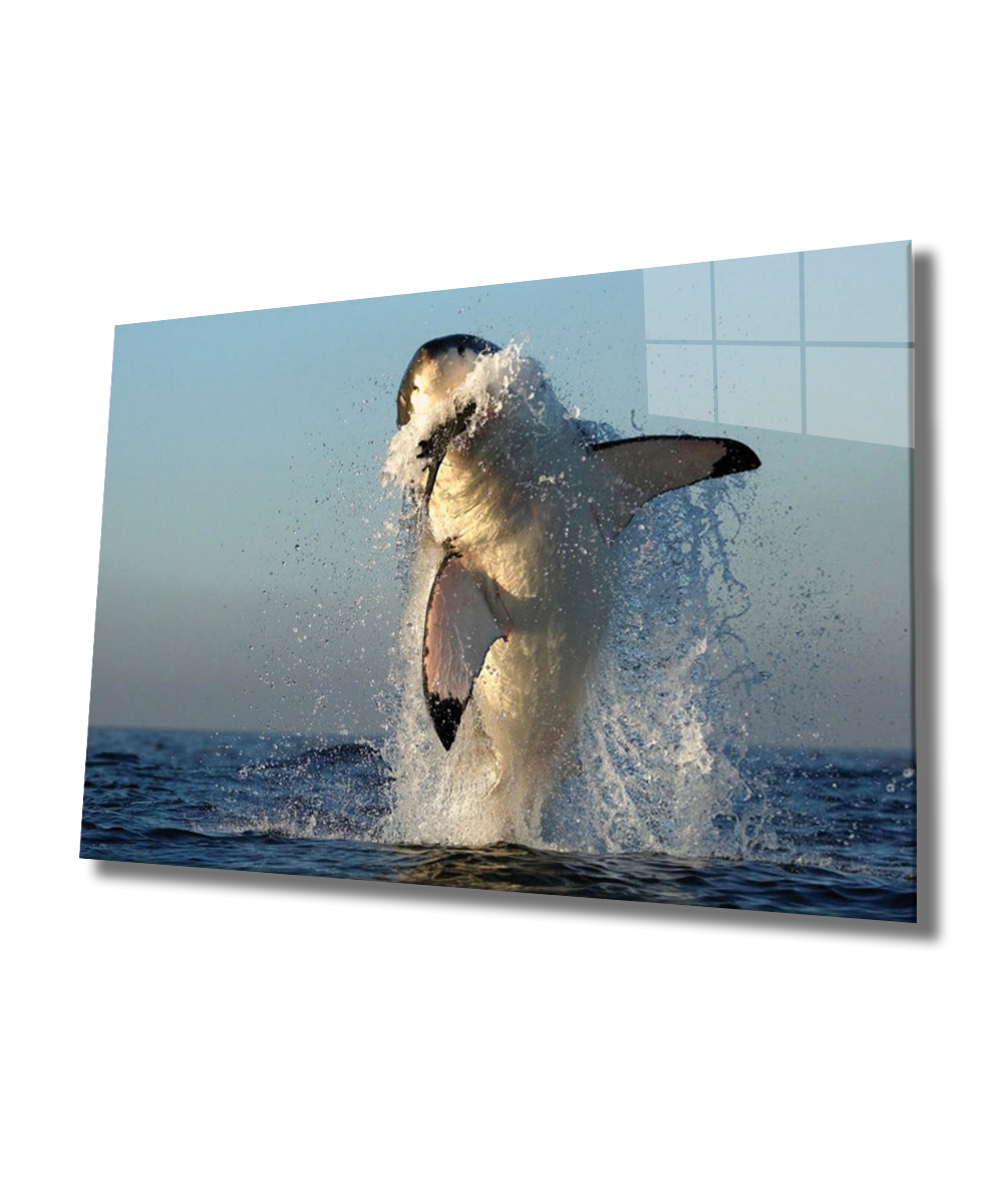 Köpek Balığı Cam Tablo  4mm Dayanıklı Temperli Cam, Shark Glass Wall Art