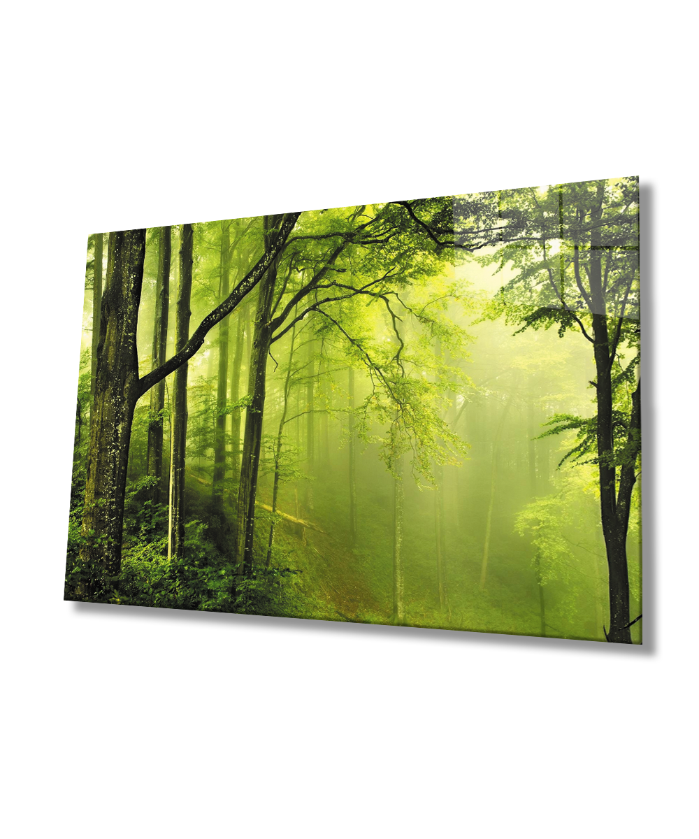 Ağaç Orman Yeşil Manzara Cam Tablo  4mm Dayanıklı Temperli Cam Tree Forest Green Landscape Glass Wall Art