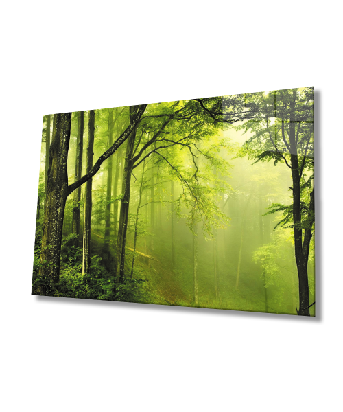 Ağaç Orman Yeşil Manzara Cam Tablo  4mm Dayanıklı Temperli Cam Tree Forest Green Landscape Glass Wall Art