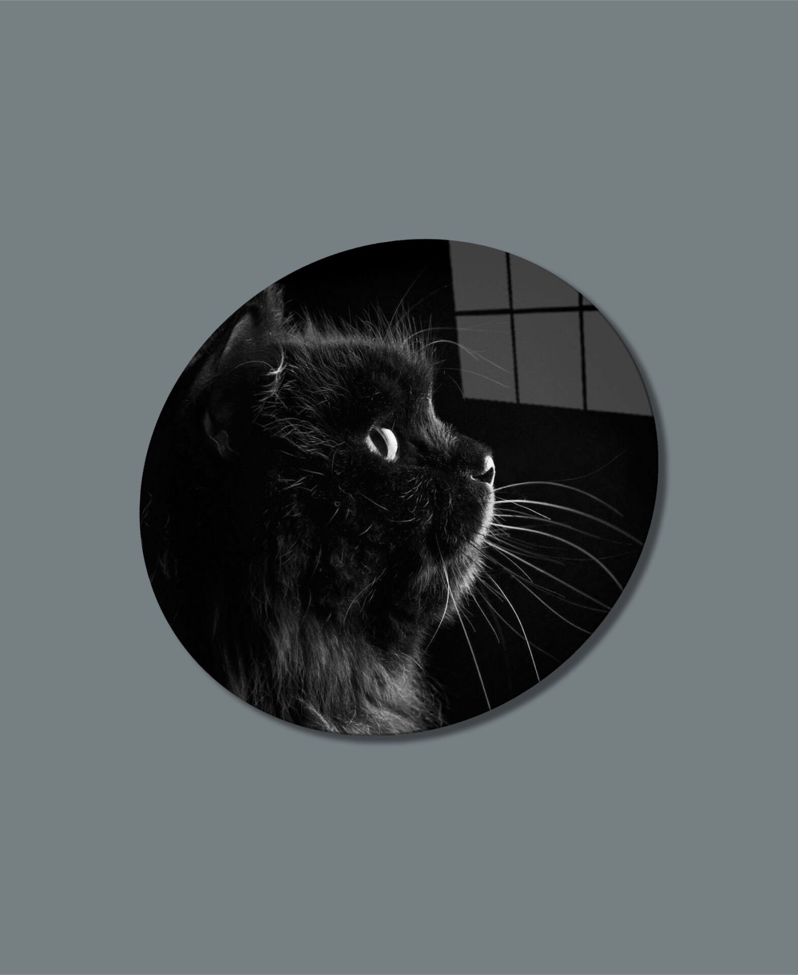 Kedi  Yuvarlak Cam Tablo  4mm Dayanıklı Temperli Cam