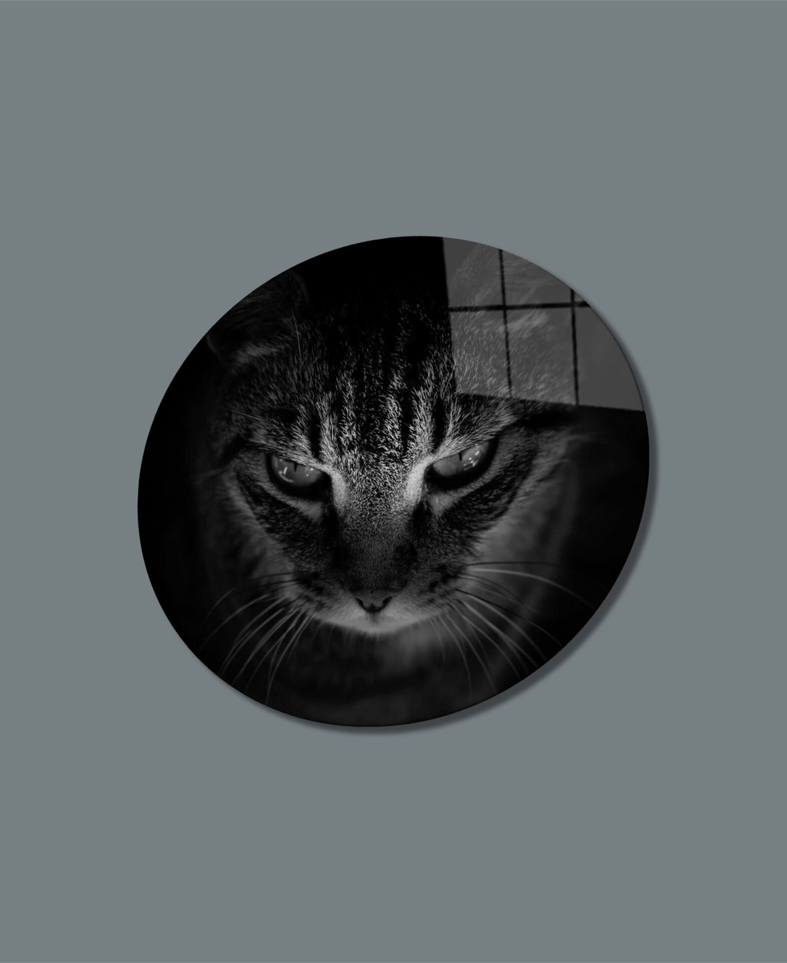 Kedi  Yuvarlak Cam Tablo  4mm Dayanıklı Temperli Cam