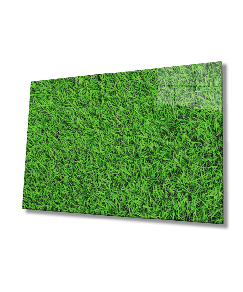 Yeşil Çimen Cam Tablo  4mm Dayanıklı Temperli Cam Green Grass Glass Wall  Art