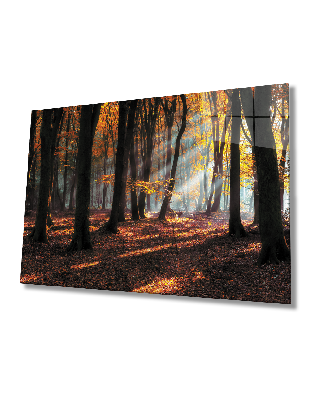 Gün Batımı Ağaçlar Manzara Cam Tablo  4mm Dayanıklı Temperli Cam Sunset Trees Landscape Glass Painting 4mm Durable Tempered Glass