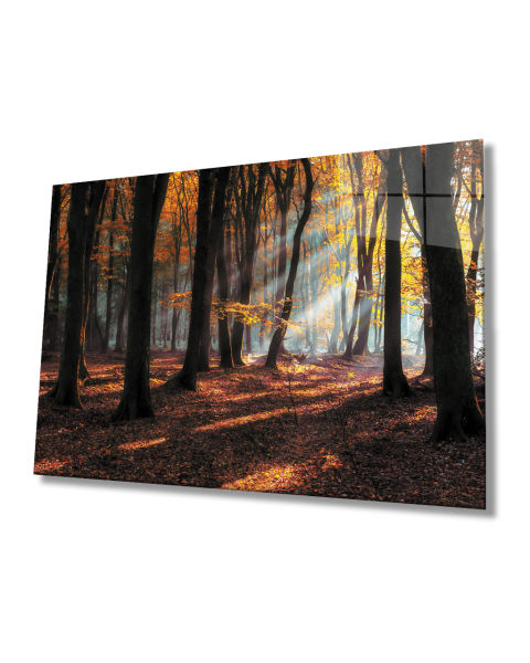 Gün Batımı Ağaçlar Manzara Cam Tablo  4mm Dayanıklı Temperli Cam Sunset Trees Landscape Glass Painting 4mm Durable Tempered Glass